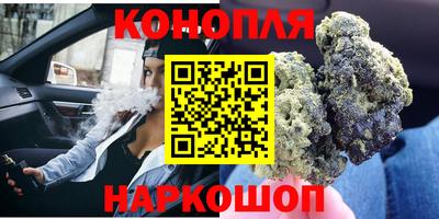 PSILOCYBIN Бугуруслан
