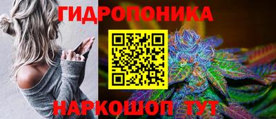 PSILOCYBIN Бугуруслан