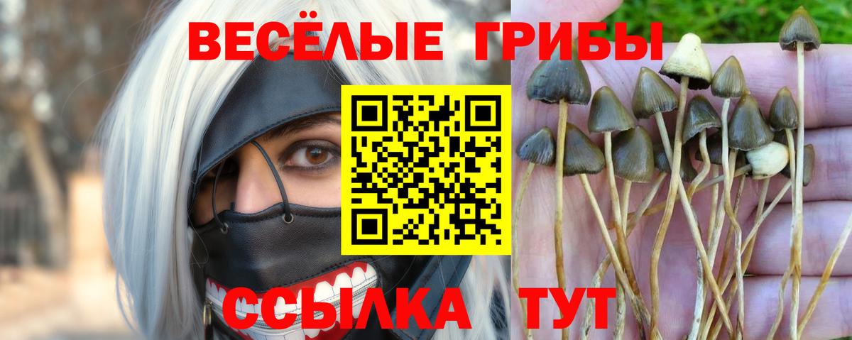 Псилоцибиновые грибы MAGIC MUSHROOMS Салехард