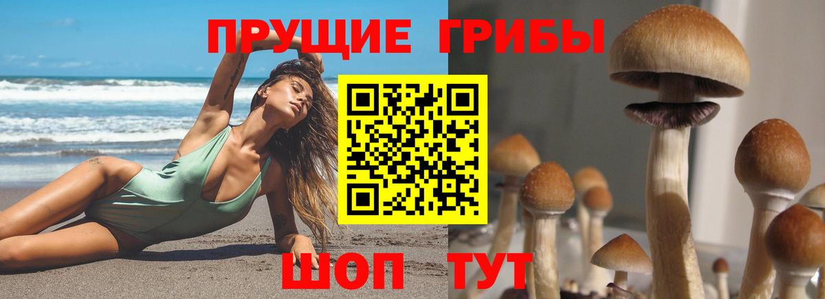 Салехард  Псилоцибиновые грибы MAGIC MUSHROOMS  Вход с VPN 